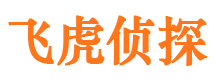 铜川出轨调查